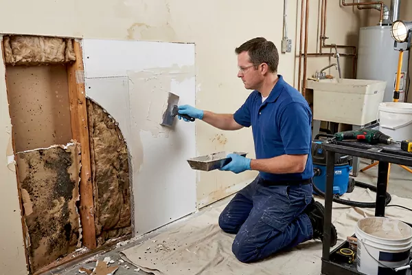 Mold and Drywall Repair Laguna Niguel