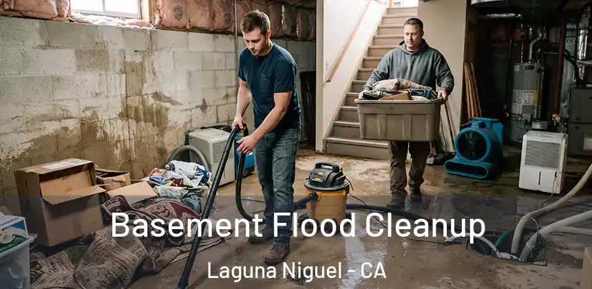 Basement Flood Cleanup Laguna Niguel - CA