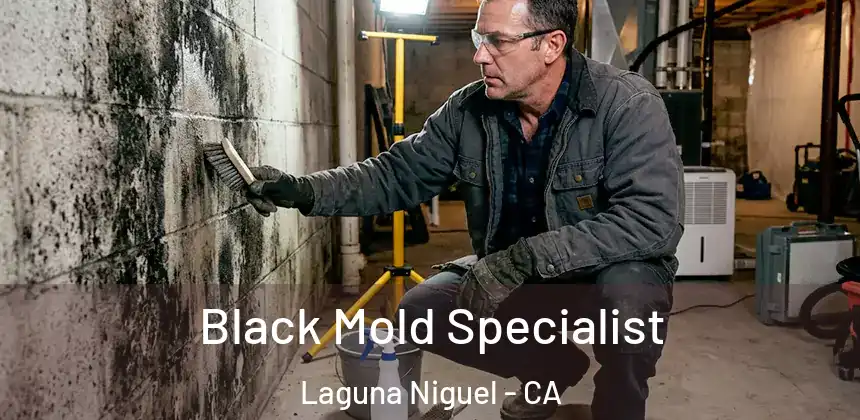  Black Mold Specialist Laguna Niguel - CA
