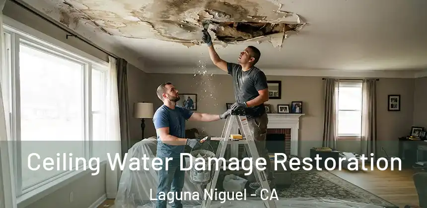  Ceiling Water Damage Restoration Laguna Niguel - CA