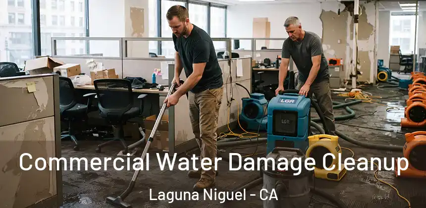 Commercial Water Damage Cleanup Laguna Niguel - CA