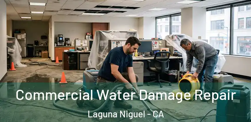  Commercial Water Damage Repair Laguna Niguel - CA
