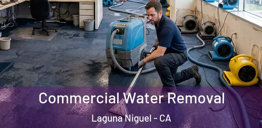  Commercial Water Removal Laguna Niguel - CA