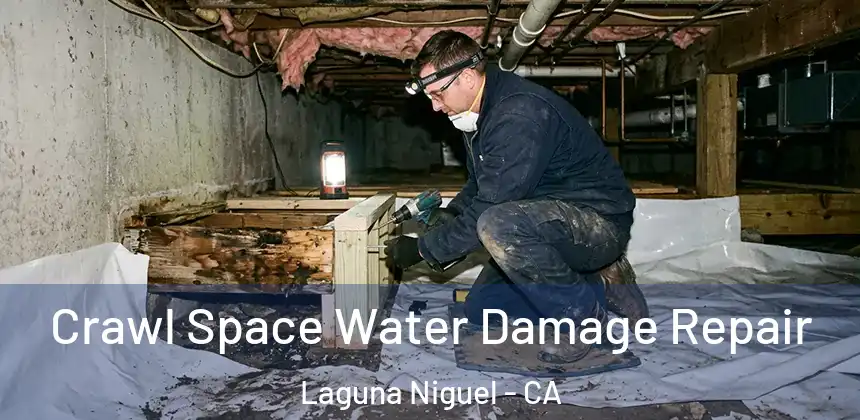 Crawl Space Water Damage Repair Laguna Niguel - CA