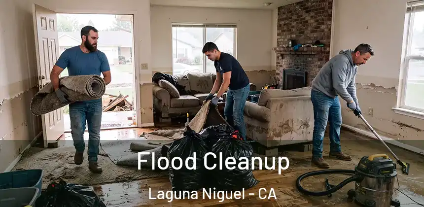  Flood Cleanup Laguna Niguel - CA