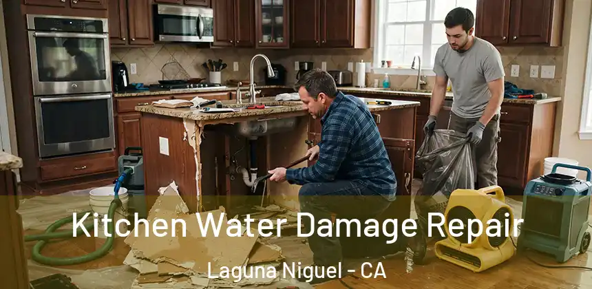  Kitchen Water Damage Repair Laguna Niguel - CA