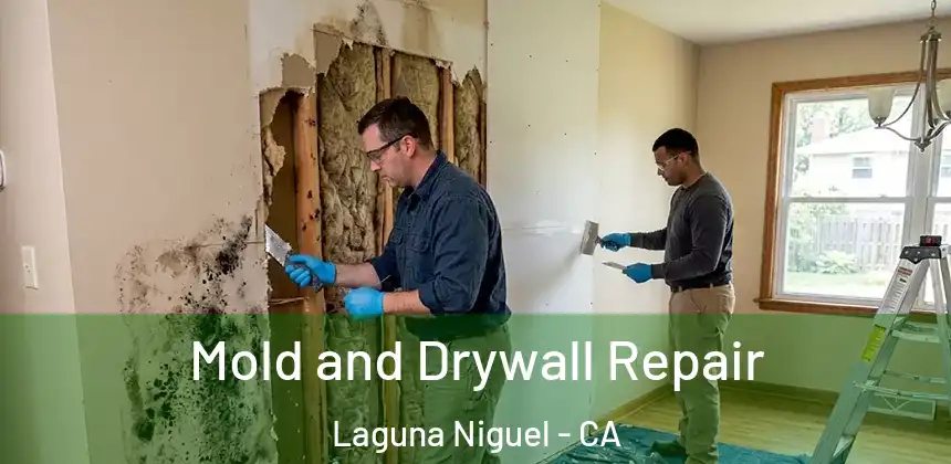 Mold and Drywall Repair Laguna Niguel - CA