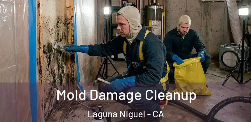  Mold Damage Cleanup Laguna Niguel - CA