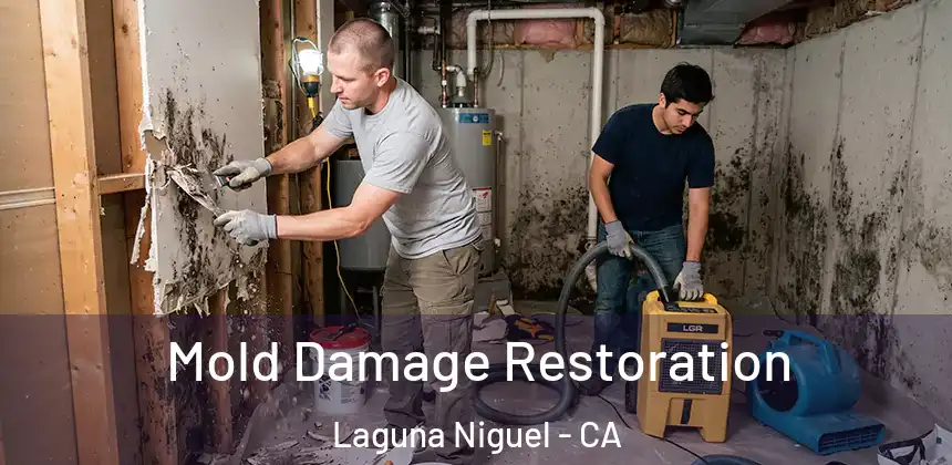  Mold Damage Restoration Laguna Niguel - CA