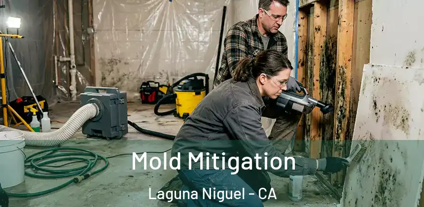  Mold Mitigation Laguna Niguel - CA
