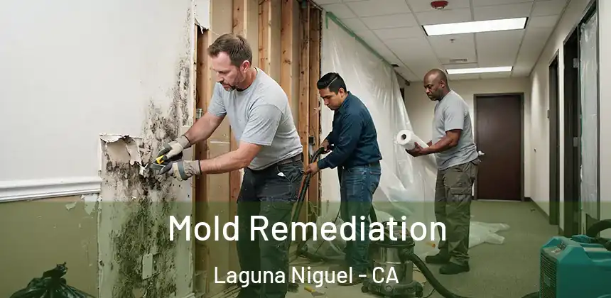 Mold Remediation Laguna Niguel - CA