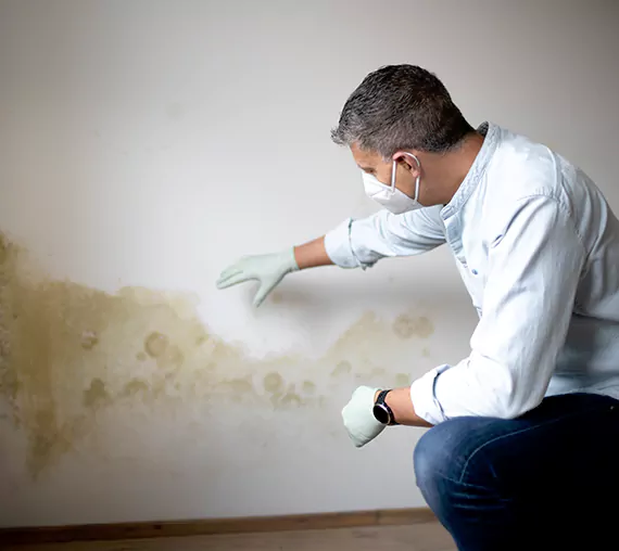 Mold Removal Service in Laguna Niguel, CA