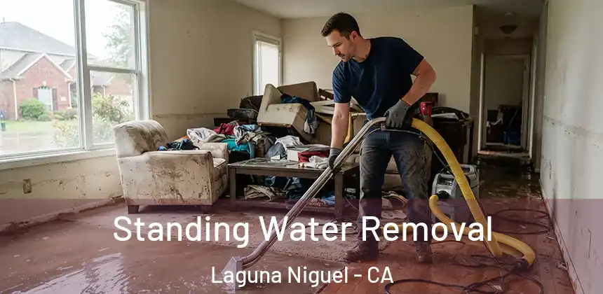  Standing Water Removal Laguna Niguel - CA