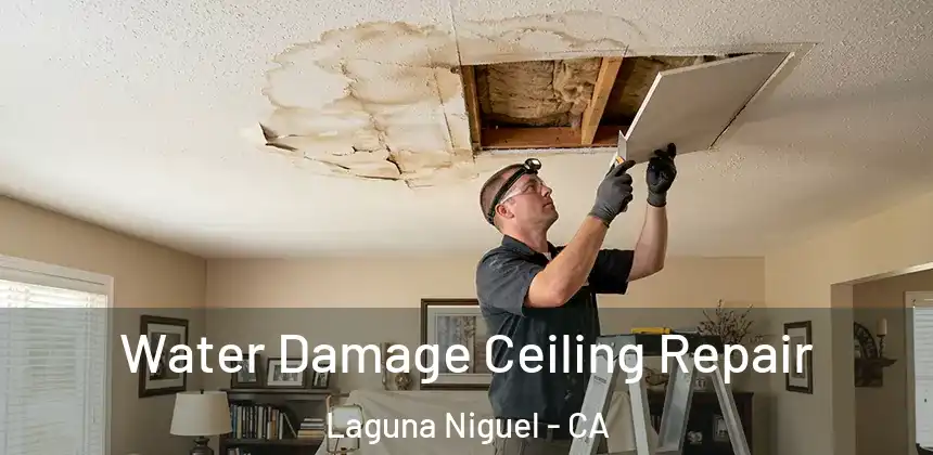  Water Damage Ceiling Repair Laguna Niguel - CA