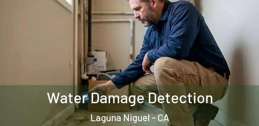  Water Damage Detection Laguna Niguel - CA