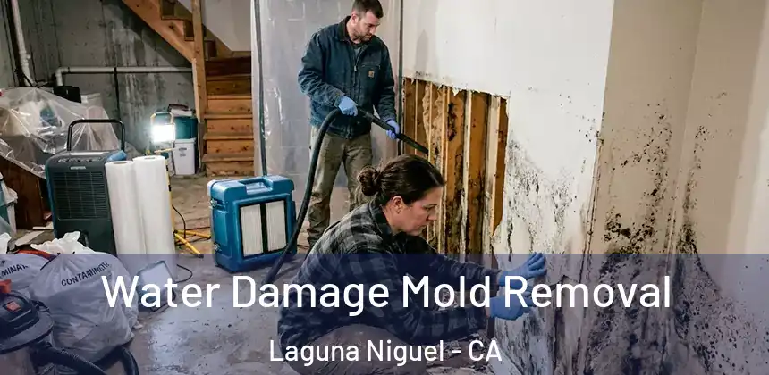  Water Damage Mold Removal Laguna Niguel - CA