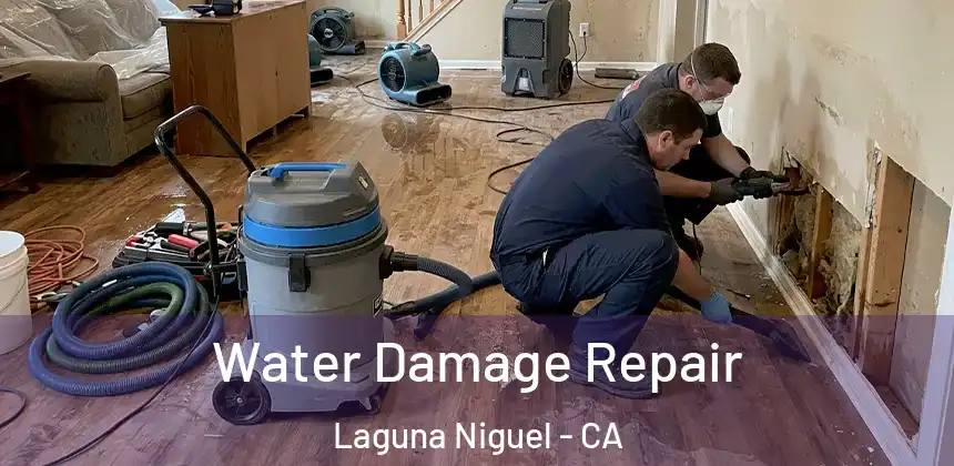  Water Damage Repair Laguna Niguel - CA