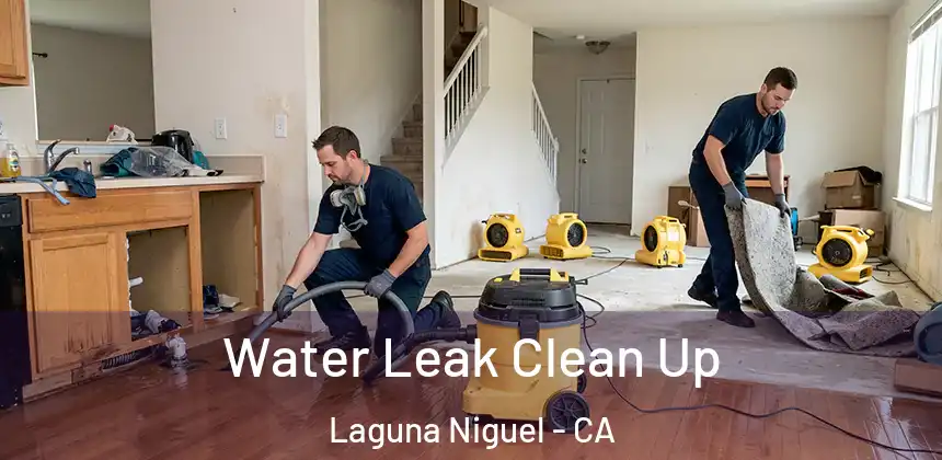  Water Leak Clean Up Laguna Niguel - CA