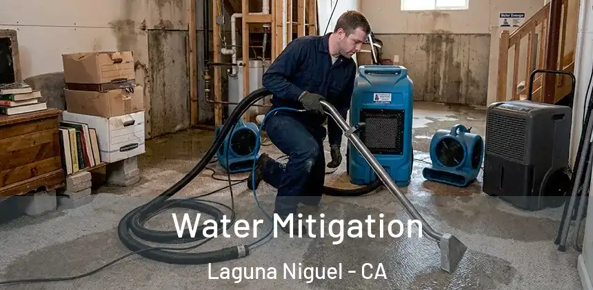  Water Mitigation Laguna Niguel - CA